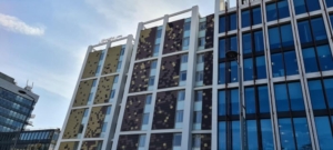 Hilton Ealing